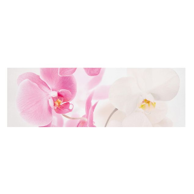 Floral canvas Delicate Orchids