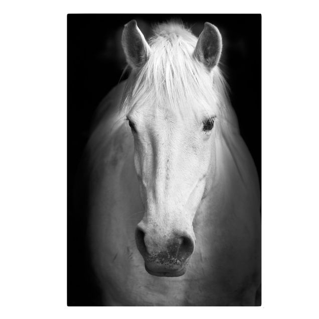 Contemporary art prints Dream Of A Horse