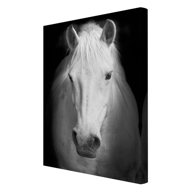 Canvas prints animals Dream Of A Horse