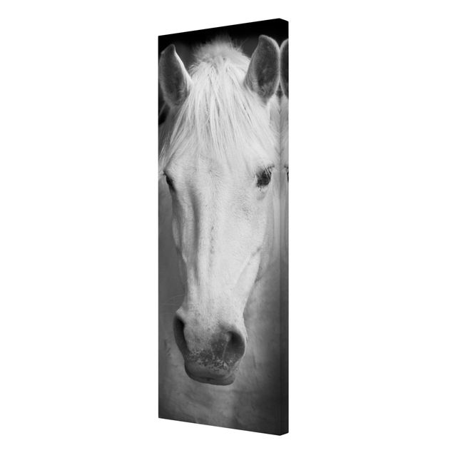 Canvas prints animals Dream Of A Horse