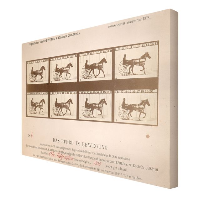 Canvas prints art print Eadweard Muybridge - The horse in Motion