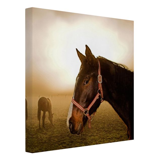 Contemporary art prints Early Horse
