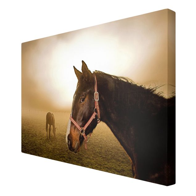 Canvas prints animals Early Horse