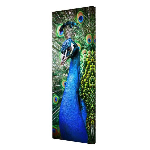 Navy blue wall art Noble Peacock
