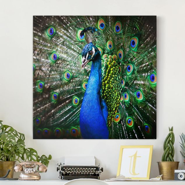 Bird canvas wall art Noble Peacock