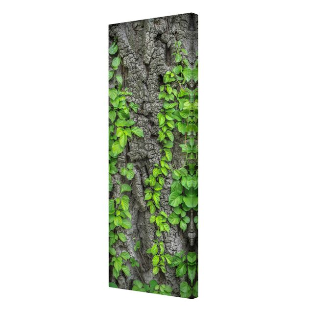 Contemporary art prints Ivy Tendrils Tree Bark