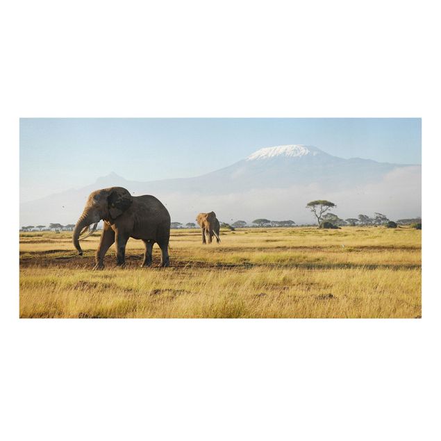 African canvas Elephants In Front Of The Kilimanjaro In Kenya