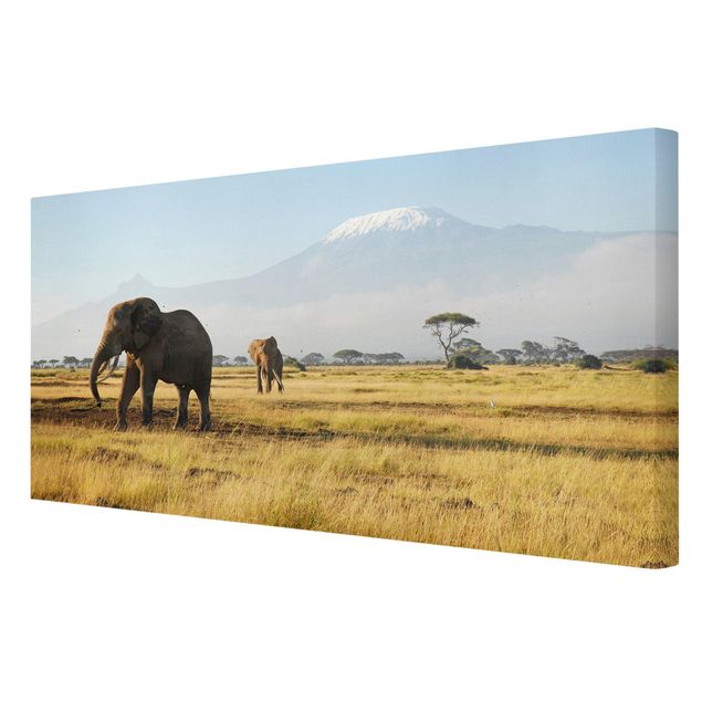 African canvas Elephants In Front Of The Kilimanjaro In Kenya