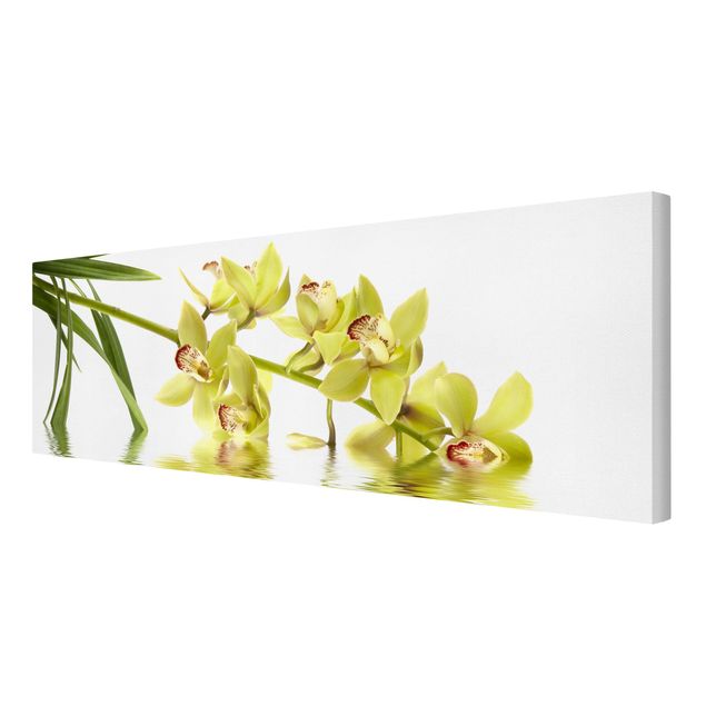 Prints flower Elegant Orchid Waters