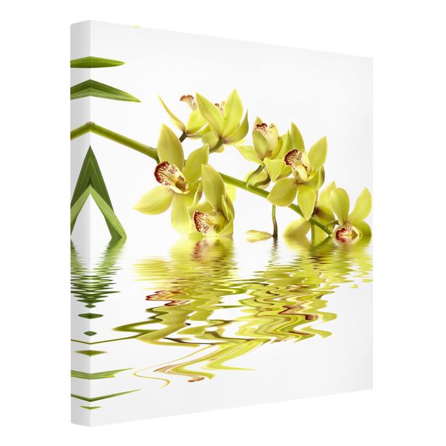 Orchid canvas Elegant Orchid Waters