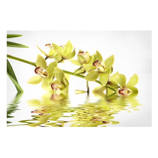 Flower print Elegant Orchid Waters
