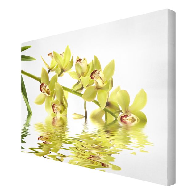 Prints flower Elegant Orchid Waters
