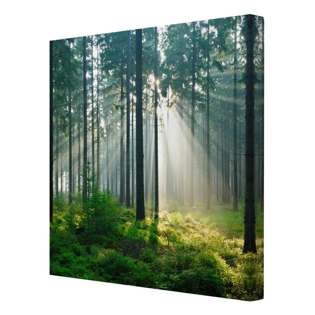 Contemporary art prints Enlightened Forest