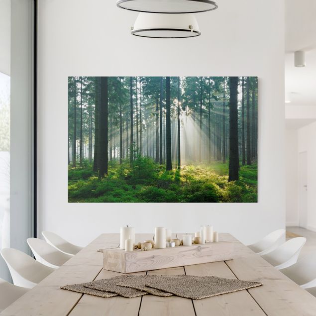 Landscape wall art Enlightened Forest