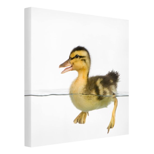Modern art prints Duckling I