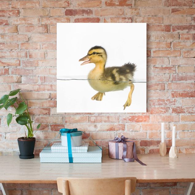 Prints animals Duckling I