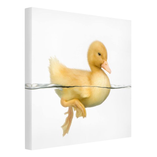 Modern art prints Duckling III