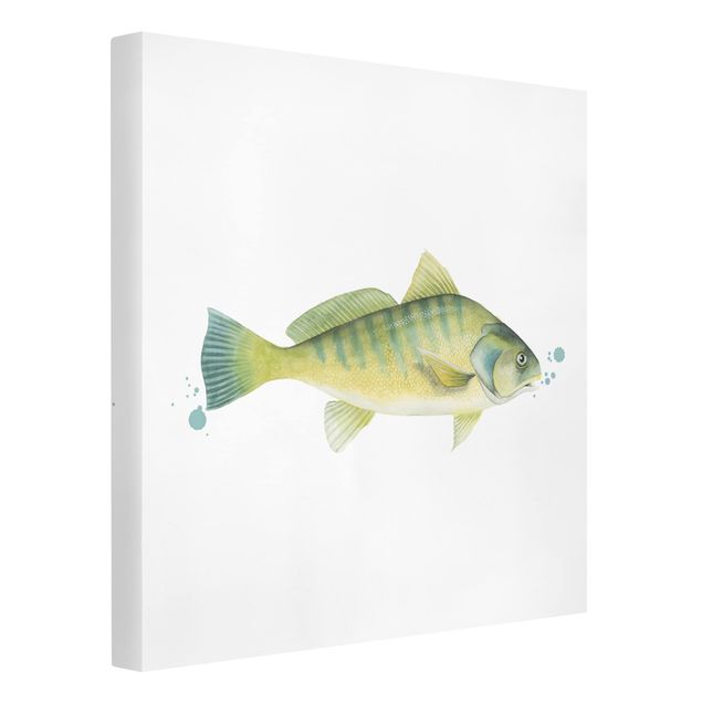 Animal wall art Color Catch - Perch