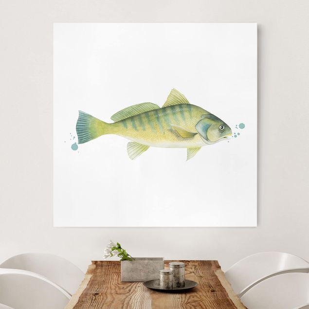 Canvas prints fishes Color Catch - Perch