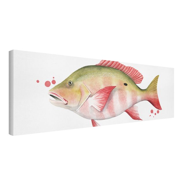 Prints animals Color Catch - Northern Red Snapper
