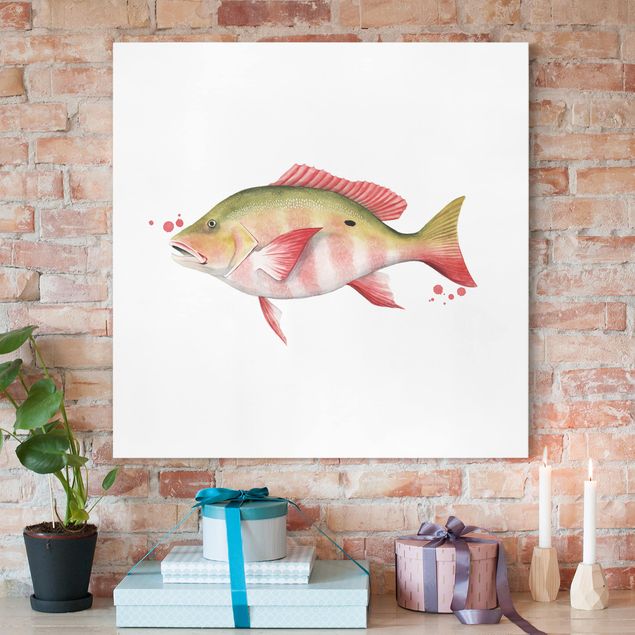 Canvas prints fishes Color Catch - Northern Red Snapper