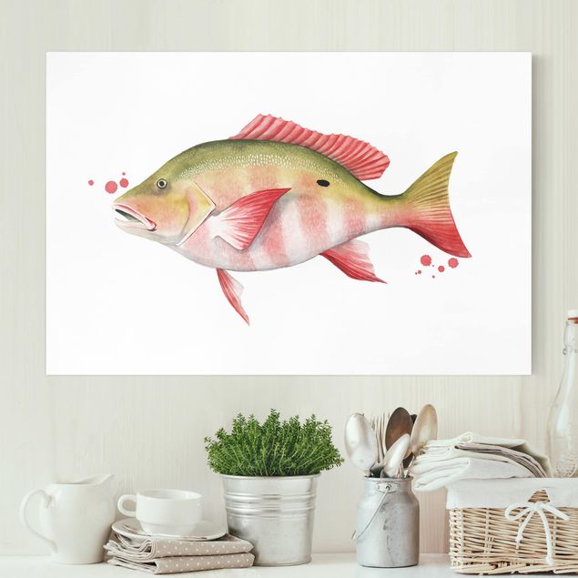 Canvas prints fishes Color Catch - Northern Red Snapper