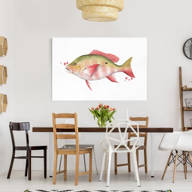 Prints fishes Color Catch - Northern Red Snapper