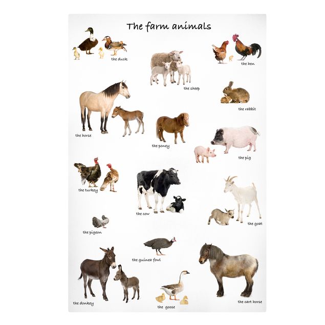 Contemporary art prints Farm Animals