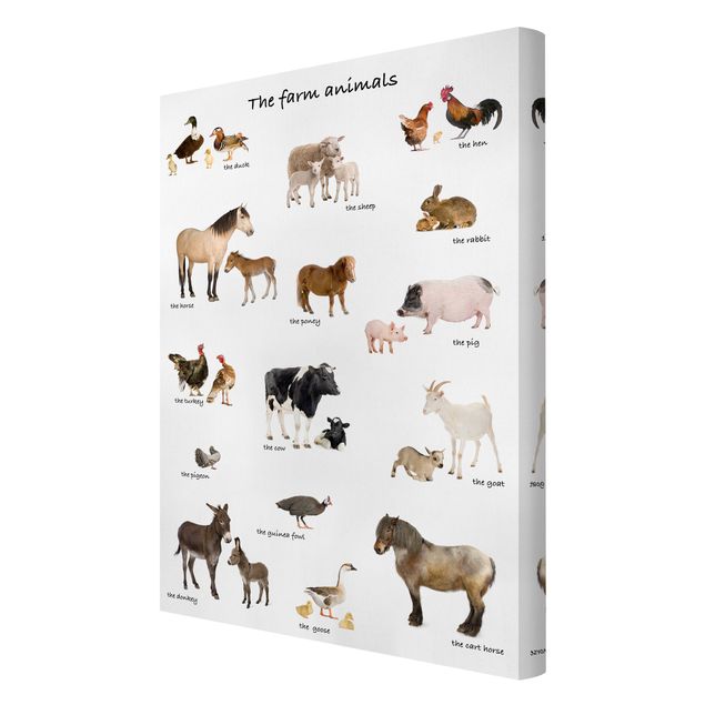 Prints Farm Animals