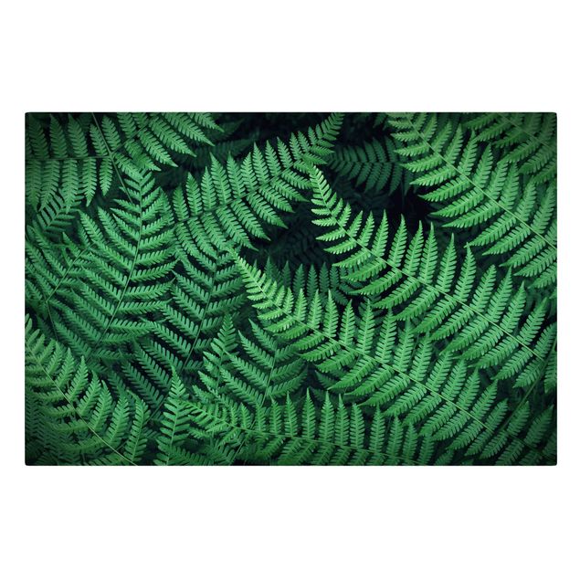 Green art prints Fern