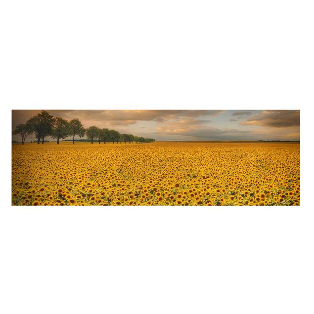 Floral canvas Field With Sunflowers