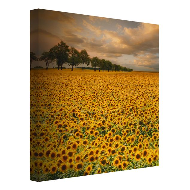 Sunflower prints on canvas Field With Sunflowers