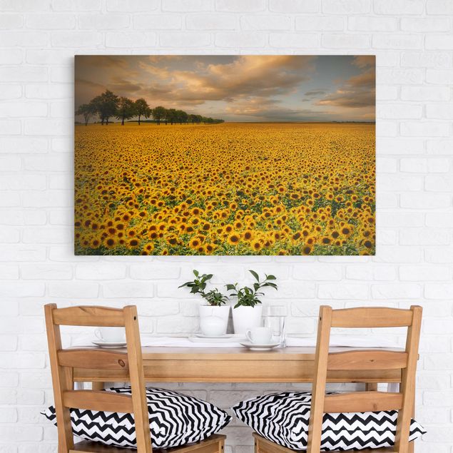 Landscape canvas prints Field With Sunflowers