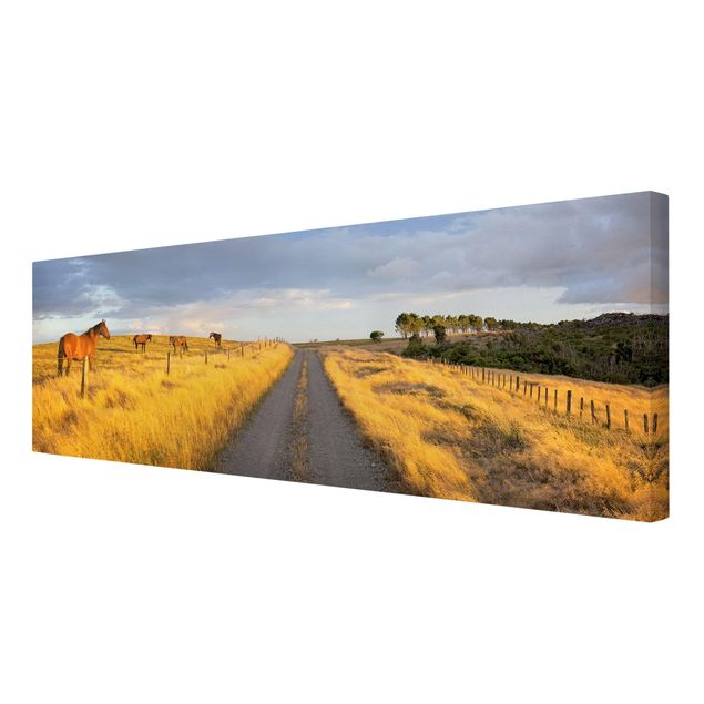 Contemporary art prints Field Road And Horse In Evening Sun