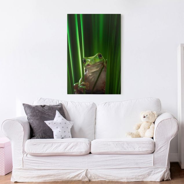 Animal canvas Merry Frog