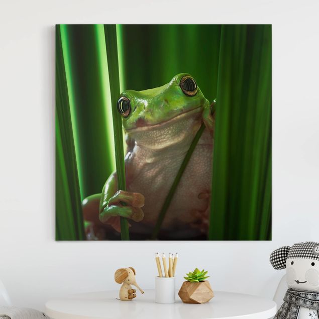 Kitchen Merry Frog