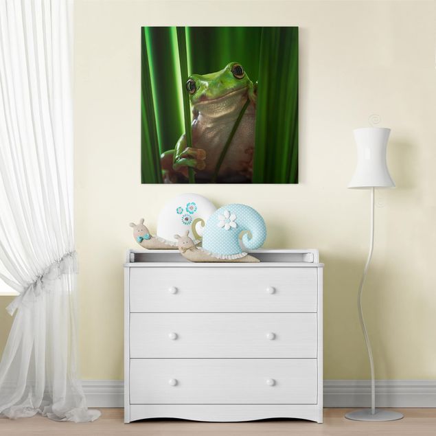 Canvas frog Merry Frog