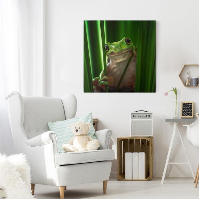 Animal canvas Merry Frog