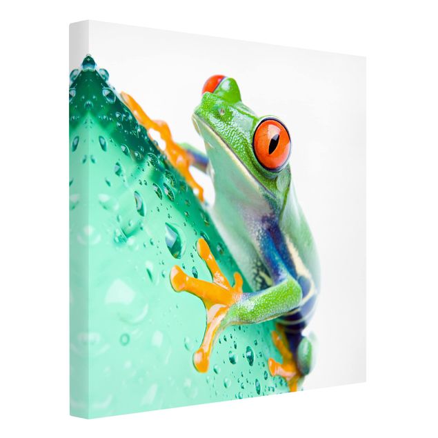 Contemporary art prints Frog