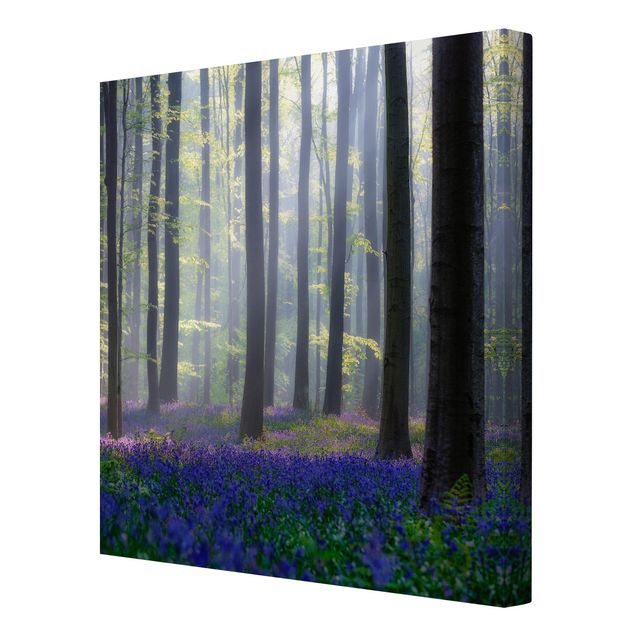 Contemporary art prints Spring Day In The Forest