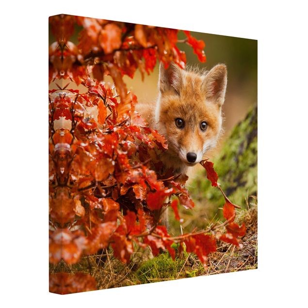 Prints animals Fox In Autumn
