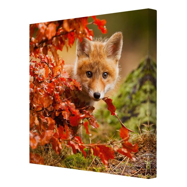 Animal canvas Fox In Autumn