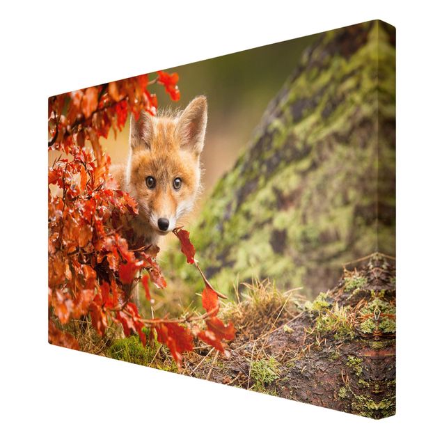 Animal canvas Fox In Autumn