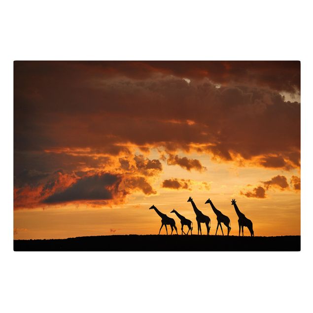 Sunset wall art Five Giraffes