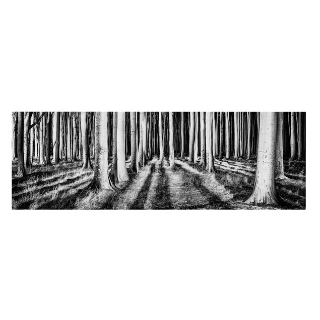 Trees on canvas Spooky Forest