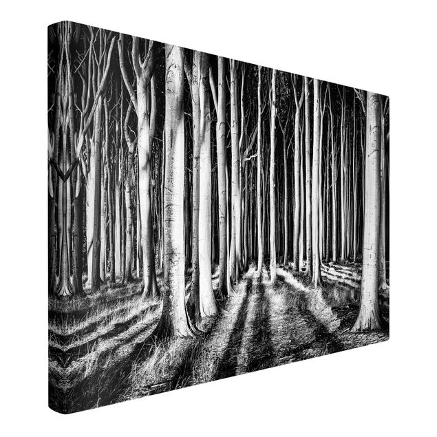 Wall art black and white Spooky Forest
