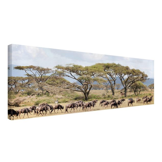 African canvas art Herd Of Wildebeest In The Savannah