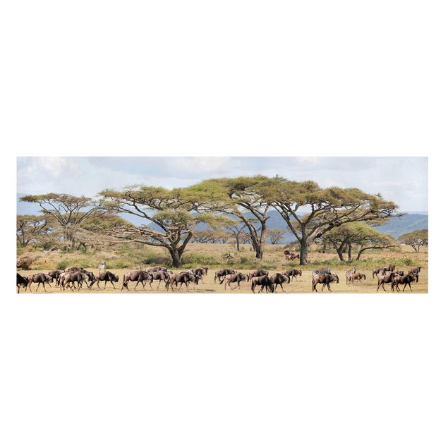 Prints animals Herd Of Wildebeest In The Savannah