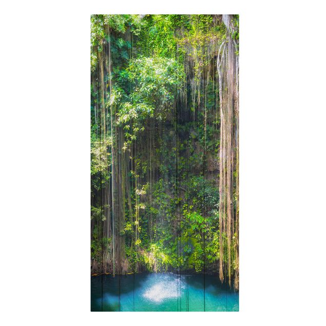 Canvas prints landscape Hanging Roots Of Ik-Kil Cenote