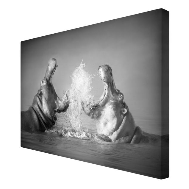 Black and white wall art Hippo Fight
